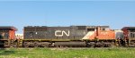 CN 5605